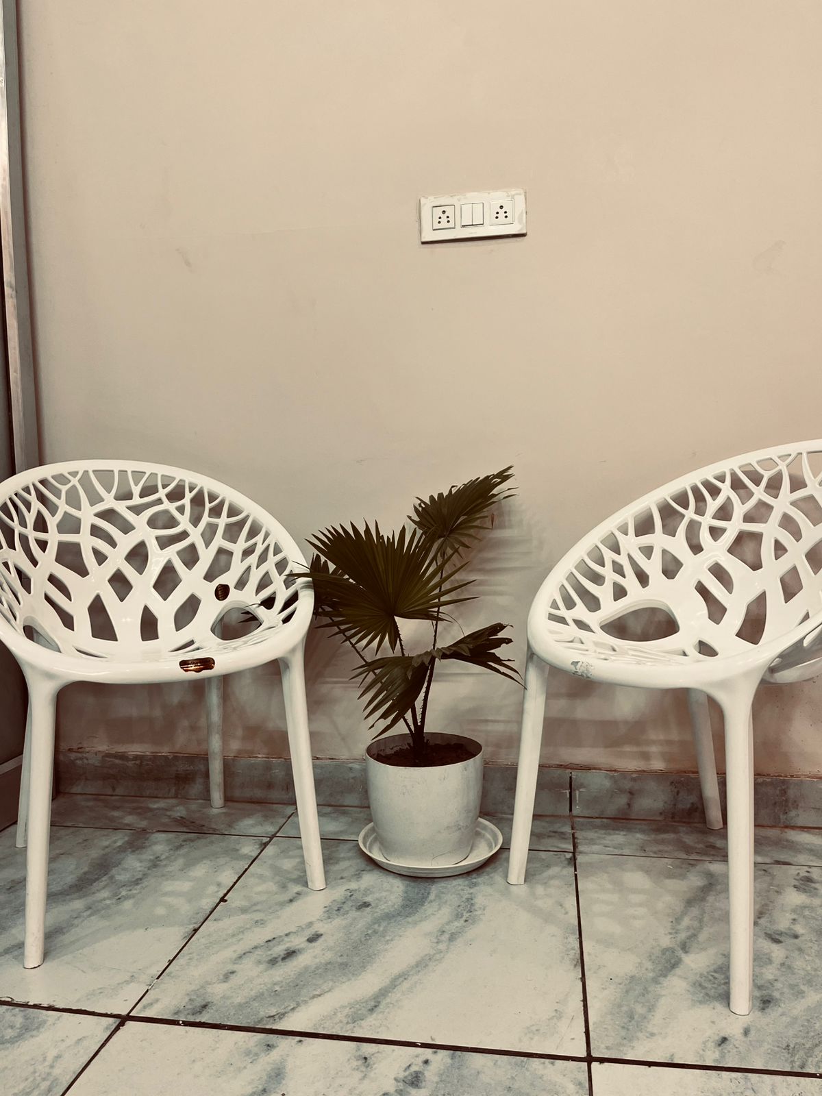 Designer chairs and a plant